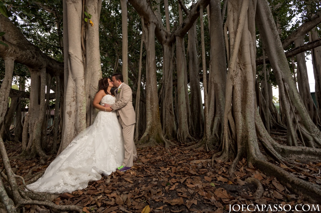 banyan tree wedding