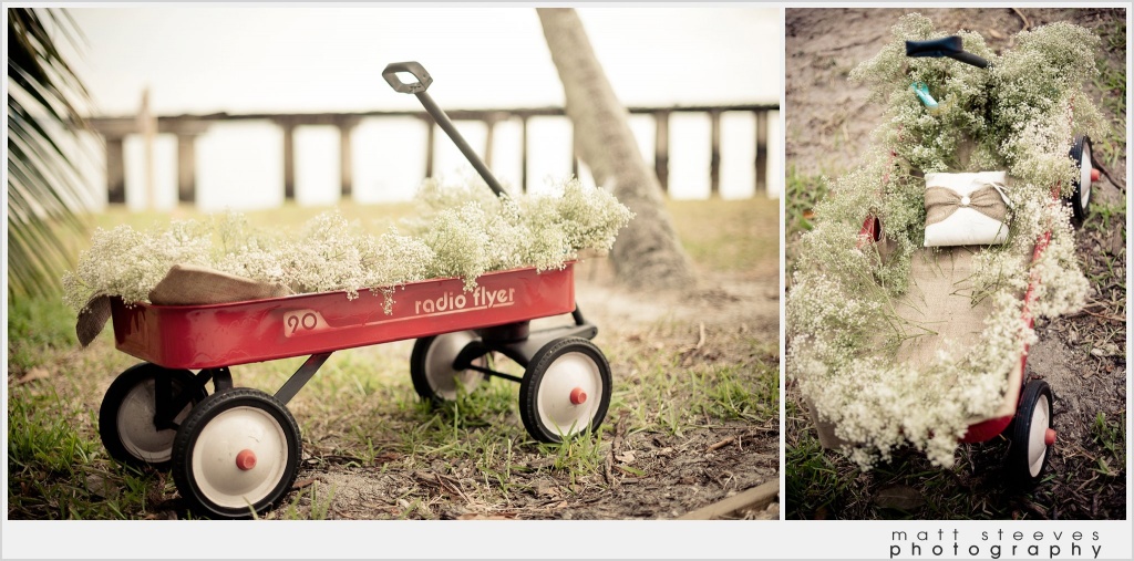 home weddings ring bearer wagon