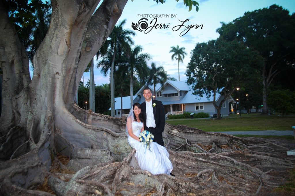 big tree wedding