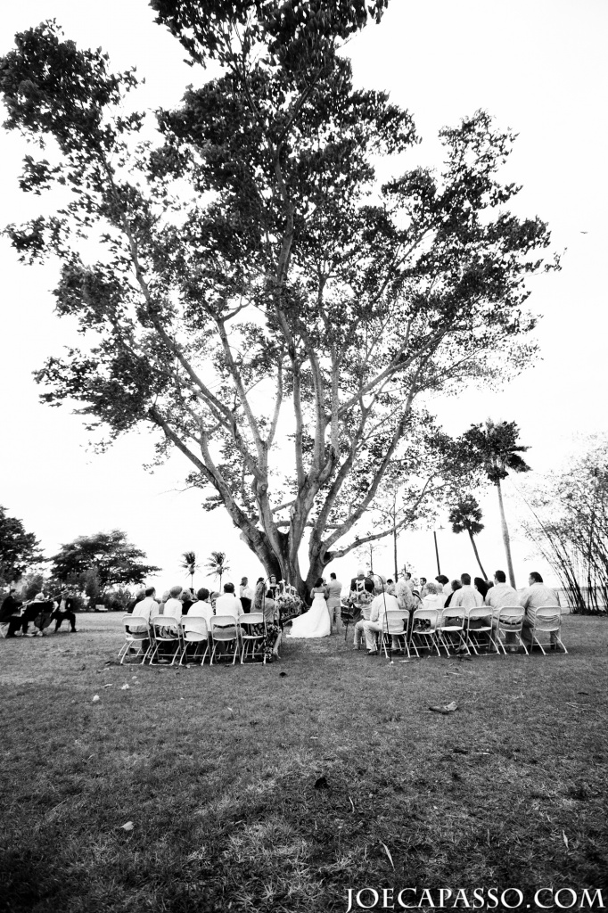 tree wedding 