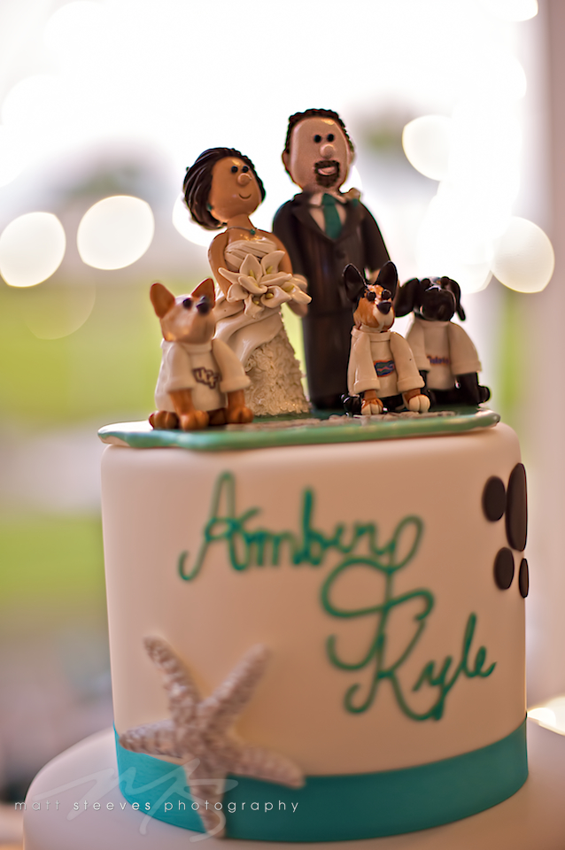 amber & kyle cake matt steeves