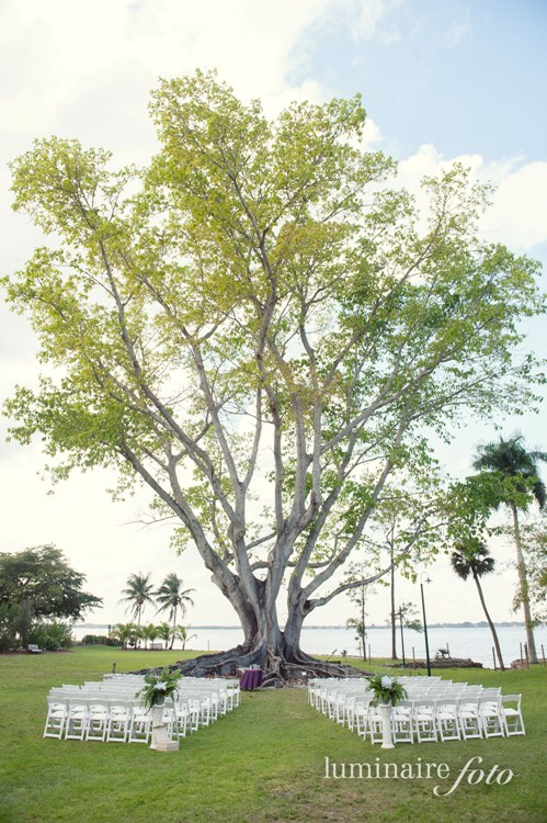 big tree wedding mysore fig edison ford fort myers venues