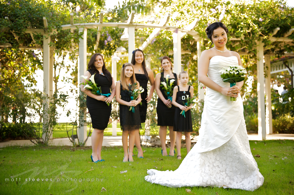 bridesmaid dresses amber & kyle matt steeves