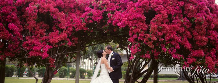 bright flowers wedding photo bougainvillea florida venues