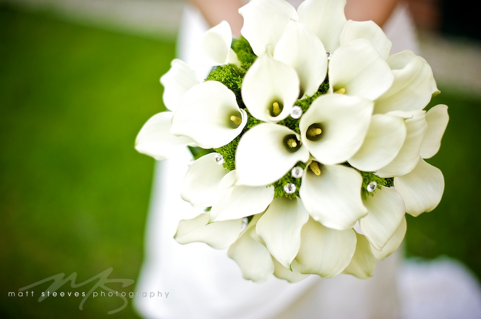 calla lilies