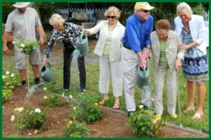 Left to right: Steve Hottovy, Historic Garden Manager; Sass Edwards, Board Chair; Ann and Tom Smoot, Charles Edison Fund; Bern Davis, Edison Ford Patron; Chris Pendleton, Edison Ford CEO