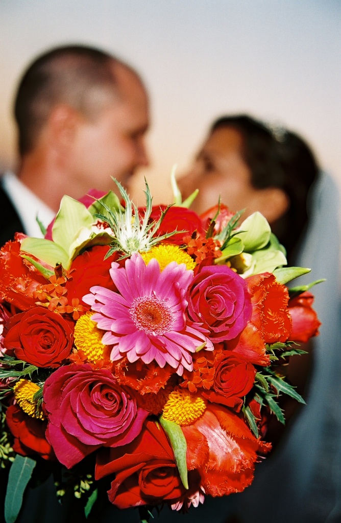 daisies and roses