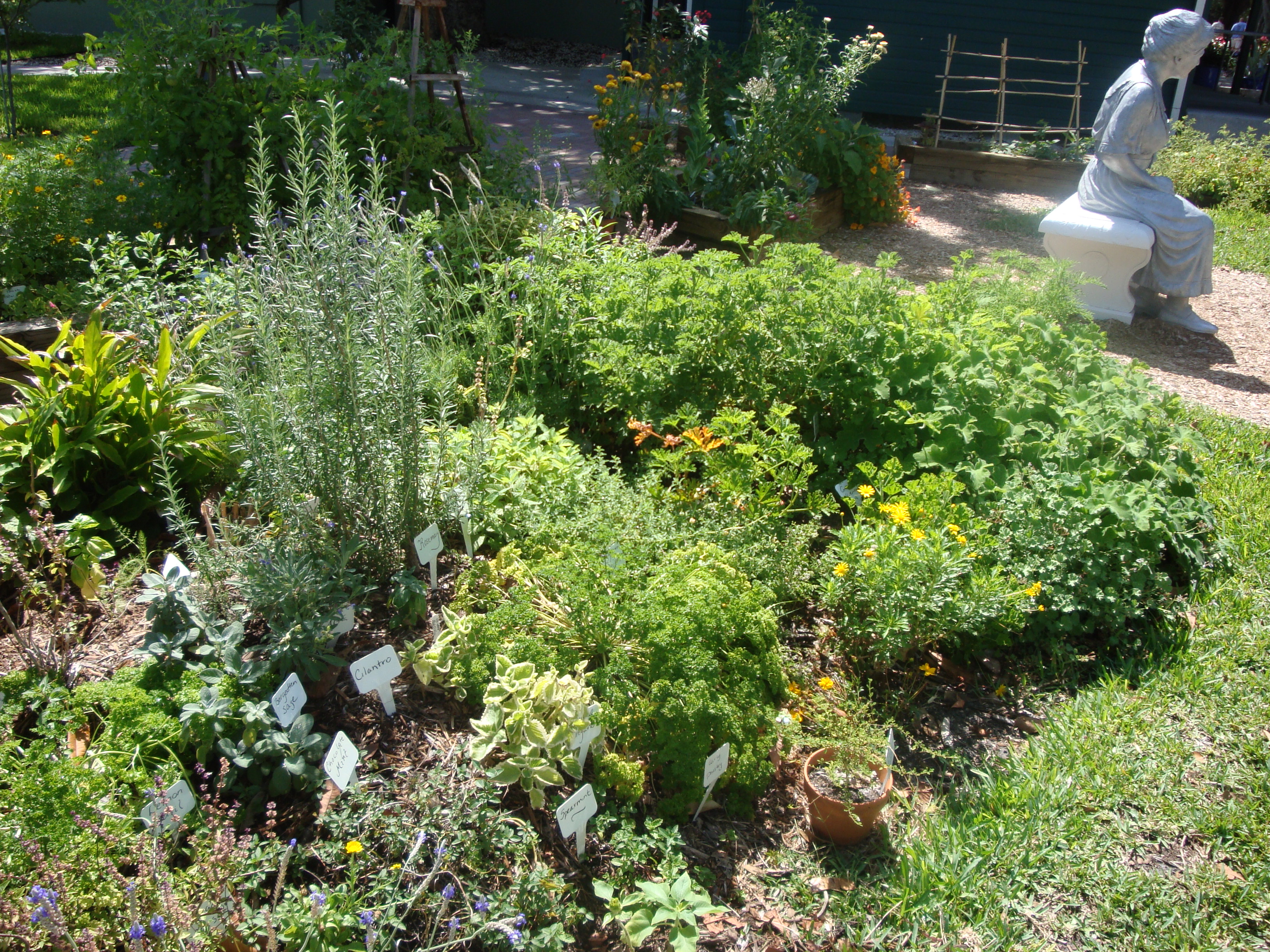 How to make your own Herb Mound