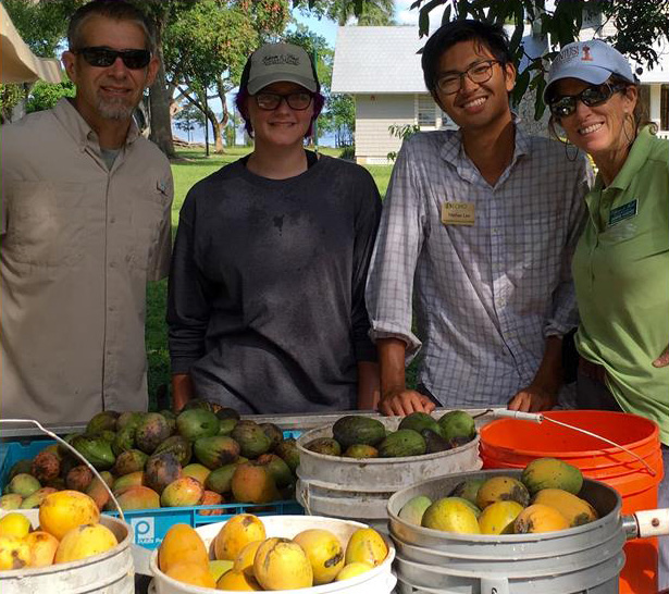 group with debbie and mangoes in buckets