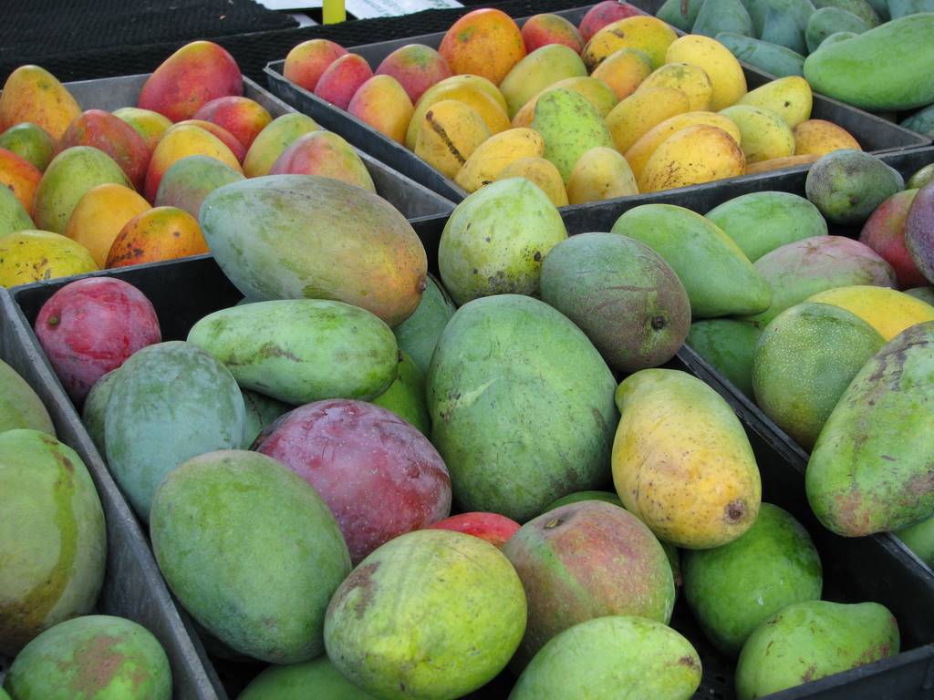 Fresh Mangoes, Each, Sweet