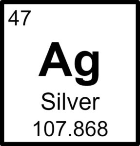 Robotics Teams - Edison and Ford Winter Estates